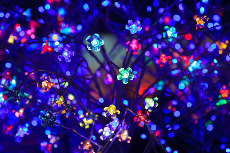 flowers, light, glare, lighting, 4K, bulbs, neon, bokeh, colorful