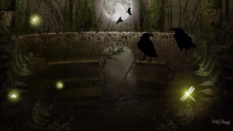 graphics, gothic, ravens, dark, dragonfly, firefox persona, crows, 1080P, goth, moon, fantasy, mysterious, dragonflies