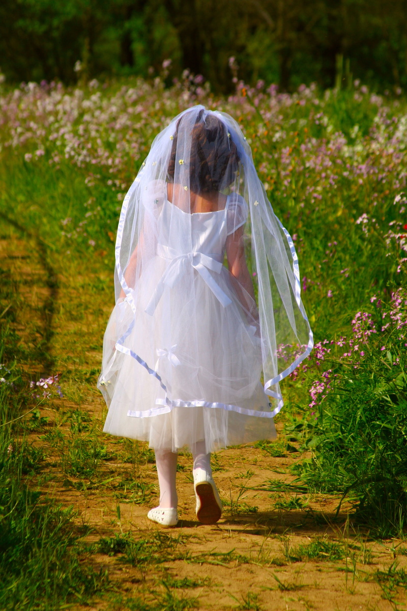 innocence, pray, petaled, blessed, wearing, land, catholic, surrounded, white color, walking, day, celebration, adult, leisure activity, children only