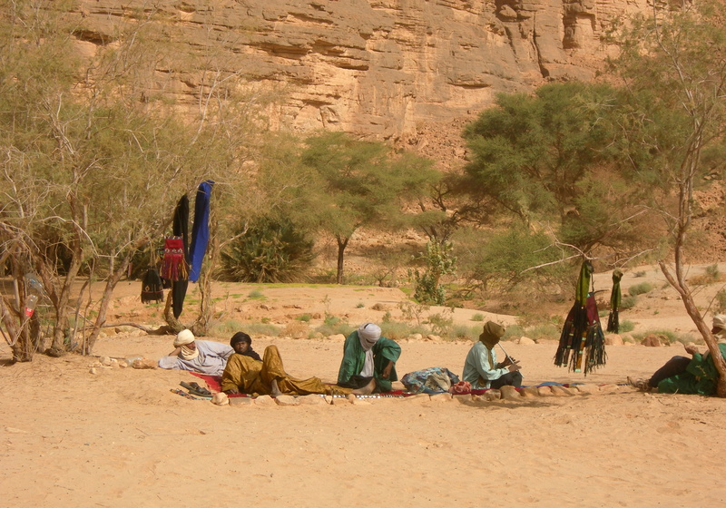 day, land, sahara, scenics - nature, plant, outdoors, leisure activity, algeria, sand, real people, rock - object, nature, people, group of people, travel