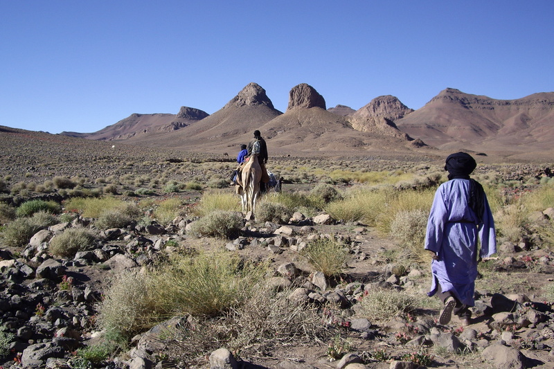 tuareg, hoggar, non-urban scene, mountain, walking, desert, travel, landscape, adult, men, people, scenics - nature, leisure activity, outdoors, nature