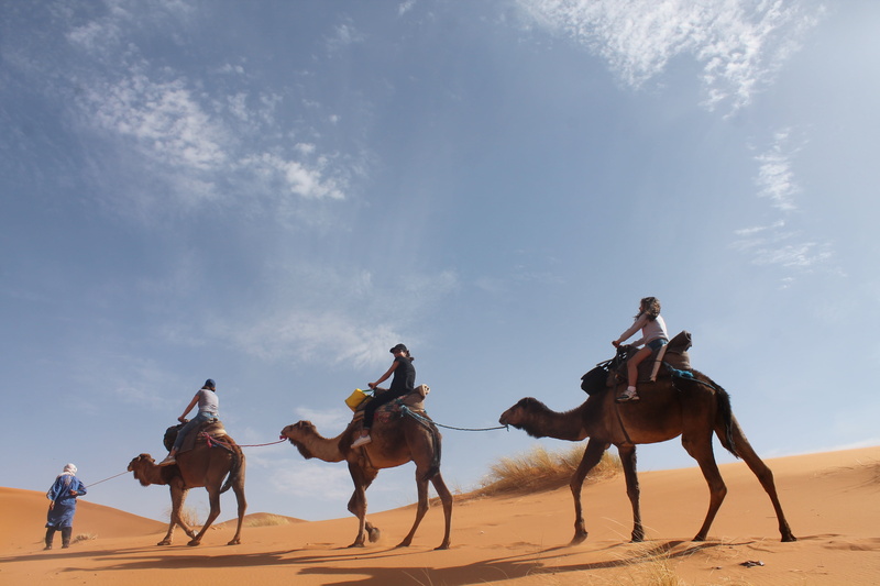 dunes, group of people, sahara, domestic, sand, outdoors, ride, desert, women, land, adult, tuareg, domestic animals, sand Dune, camel, horse, riding, camels