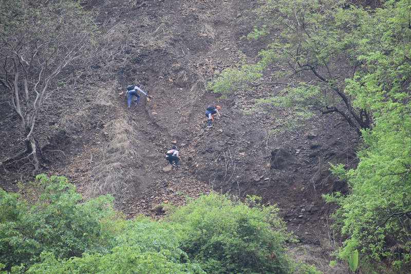 trekkers, india, trees, thrill, men, people, hiking, nomad, beauty in nature, plant, real people, land, kalavantin durg, tree, backpackers, outdoors, nature