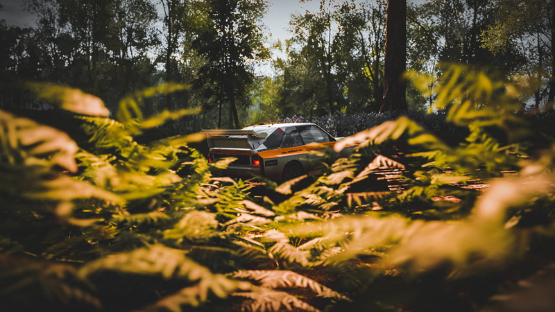 Quattro, Audi Sport Quattro S1, rally cars, 1080P, Audi, Forza Horizon 4, Forza, car, Rally, vehicle