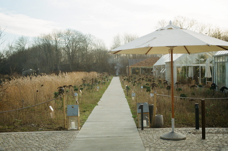 built structure, nordic, bare tree, patio, 2K, copenhagen, garden umbrella, direction, tree, flagstone, walkway, day, path, patio umbrella, porch, tent