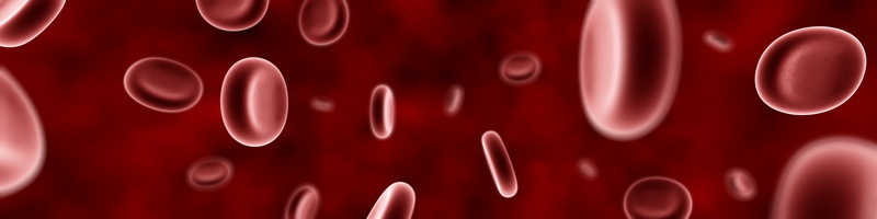 cells, 4K, full frame, blood, simplicity, indoors, selective focus, design, communication, technology, shape, sign, warning sign, in a row, metal, abstract