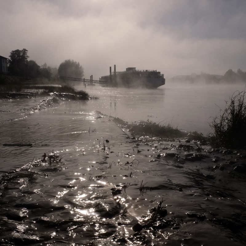 tranquility, garonne, plant, morning, tranquil scene, nature, land, steam, hot spring, outdoors, 2K, fog, scenics - nature, water, tree, beauty in nature