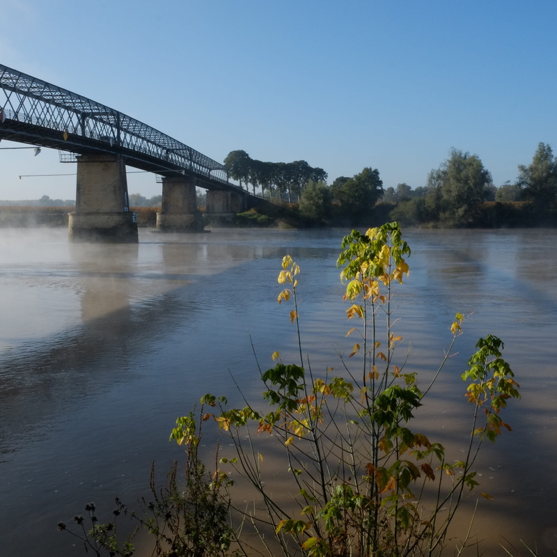 tranquil scene, flower, sky, aquitaine, scenics - nature, bridge, built structure, architectural column, langoiran, plant, garonne, connection, growth