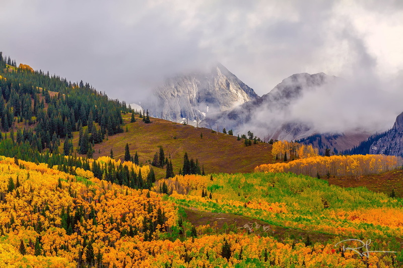 pine tree, sky, USA, mountain range, coniferous tree, environment, 1080P, tranquil scene, outdoors, plant, autumn, pine woodland, mountain, forest, mountain peak