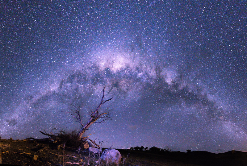 star - Space, environment, scenics - nature, backgrounds, light - Natural Phenomenon, tranquil scene, awe, plant, blue, purple, milky Way, space and astronomy