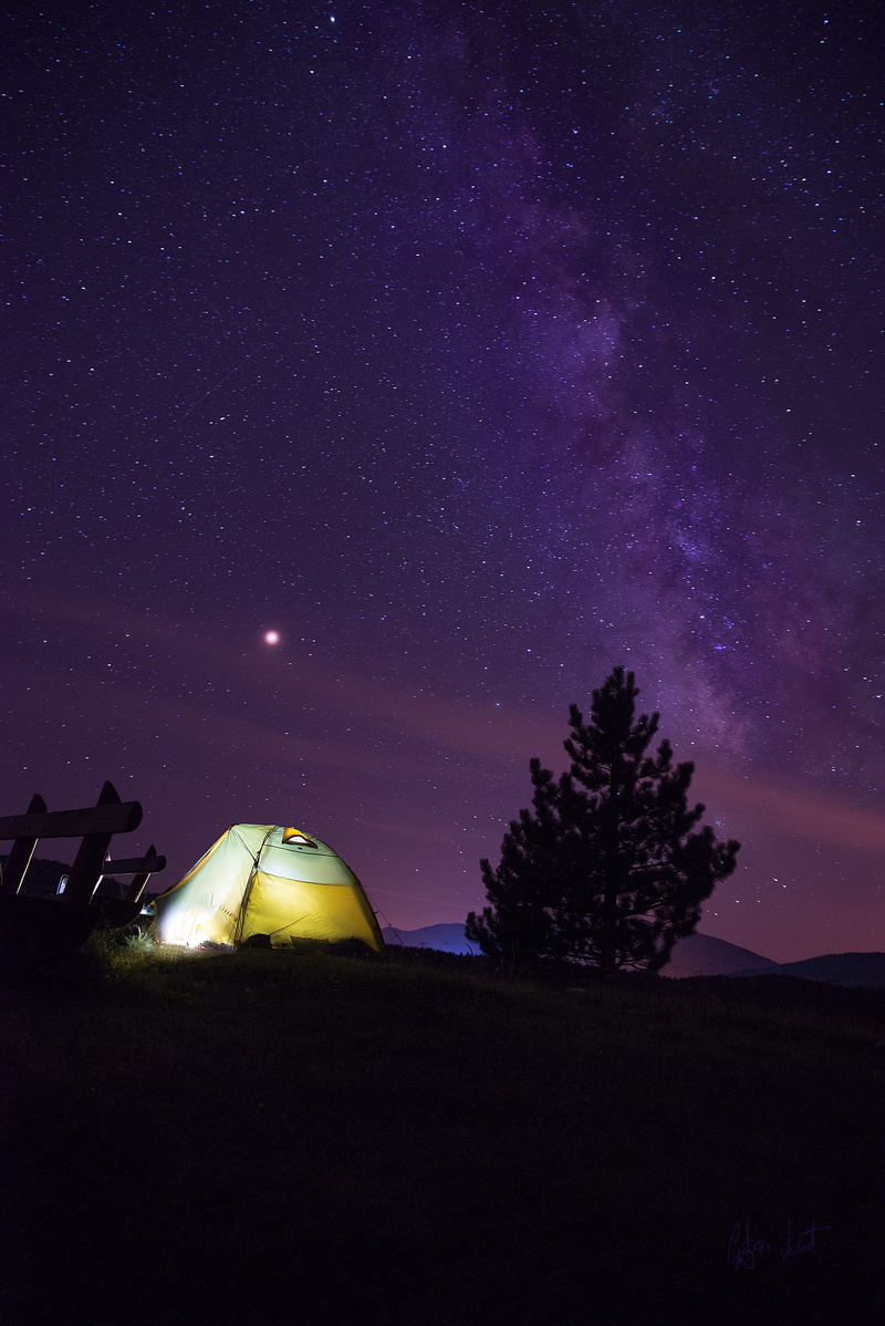 tranquil scene, camping, milky way, galaxy, tree, star, field, stars, nature, tranquility, tent, plant, sky, land, beauty in nature, milkyway, space, star - space