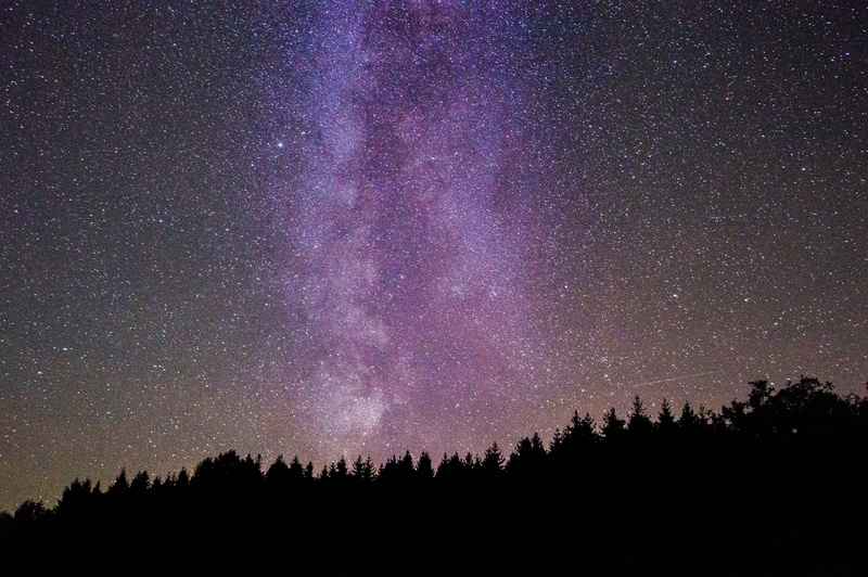star - space, nature, astronomy, milkyway, low angle view, growth, night, silhouette, plant, nightsky, scenics - nature, no people, tranquil scene, tree