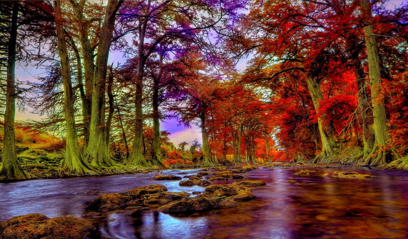 green, autumn, 1080P, hills, river, guadalupe, texas, guadalupe-river, trees