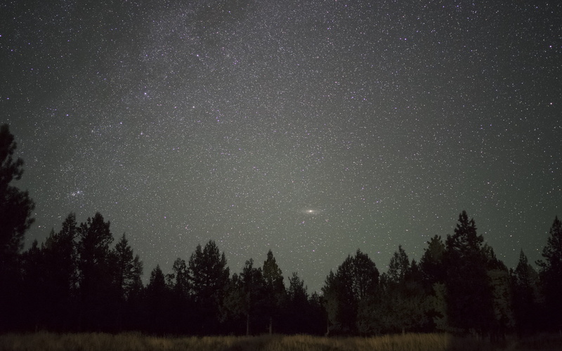 plant, tranquility, idyllic, no People, nebula, space and astronomy, growth, horizon, night, star, landscape, astrology, sky, astronomy, moon, star Shape