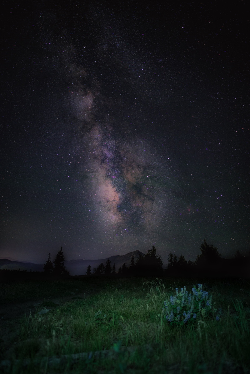 dark, milky Way, beauty In Nature, grass, constellation, tree, illuminated, galaxy, moon, nature, star Field, science, meteor, aurora Polaris, starry sky