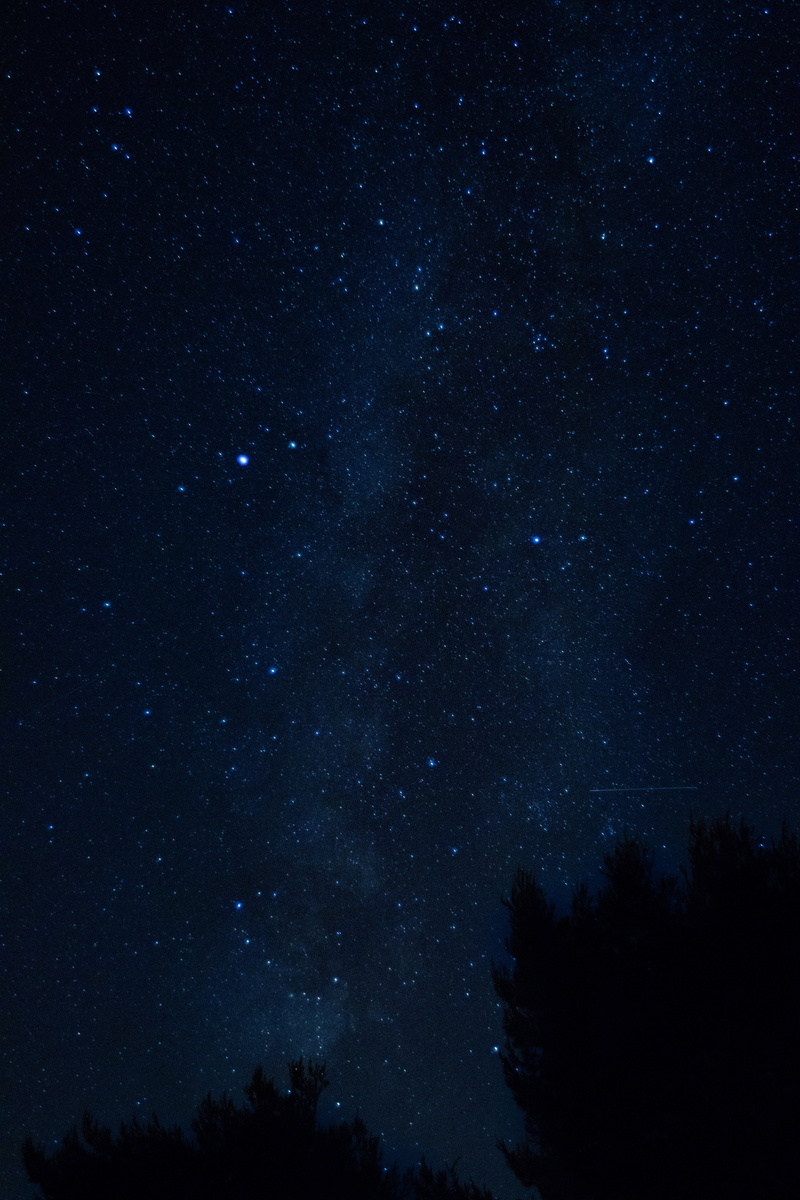 starry sky, backgrounds, space, landscape, sky, way, no people, star Trail, star Shape, meteor, science, milky, black Color, dark, croatia, forest, star - Space