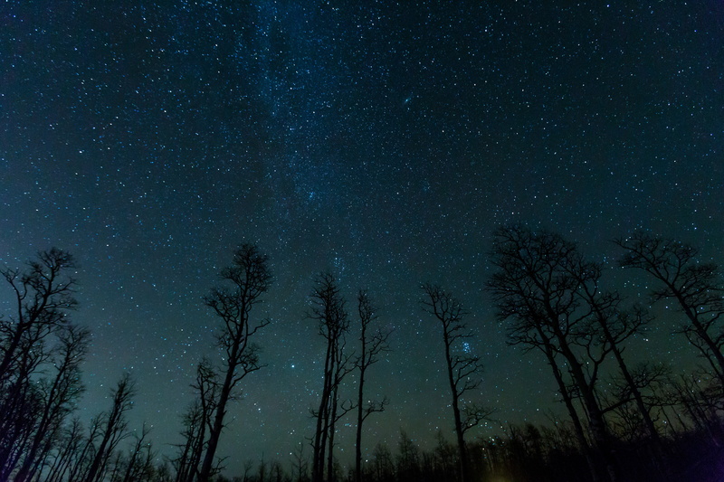 science, outdoors, star, milky Way, fantasy, silhouette, astronomy Telescope, forest, night, constellation, star - Space, landscape, starry sky, winter
