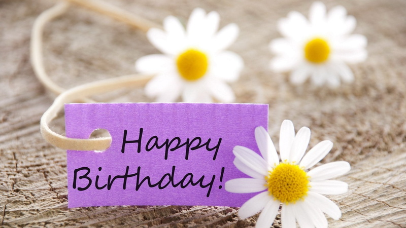 fragility, outdoors, no people, pollen, Birthday, inflorescence, close-up, springtime, 1080P, Daisy, plant, emotion, Flower, communication, Holiday, text