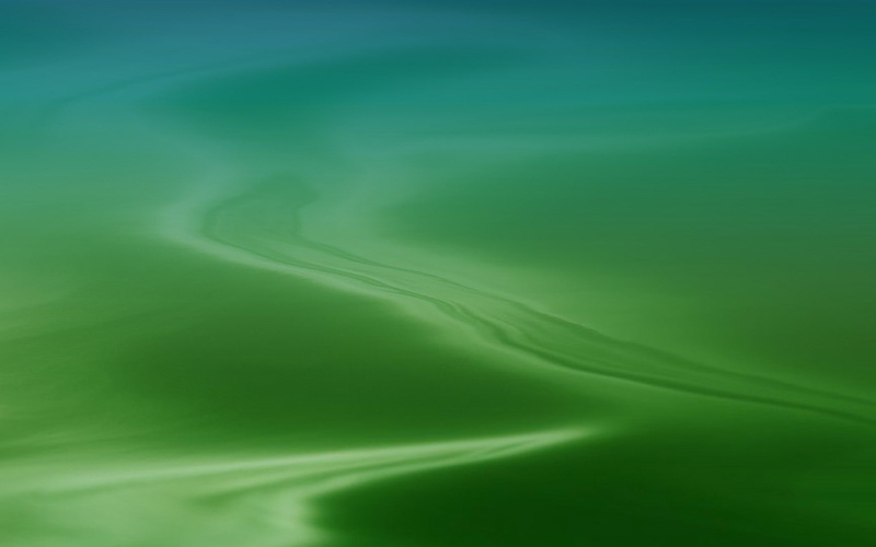 hd, growth, nature, green color, freshness, land, plant part, copy space, plus, iphone, abstract backgrounds, pattern, environment, curve, tranquility