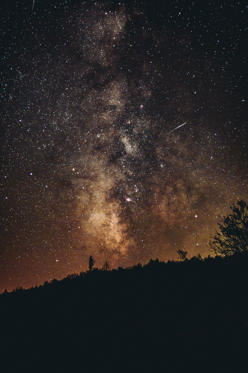 5K, infinity, explore, tree, forest, astrology, milky Way, black Color, astro, exposure, exploration, landscape, starry, planet - Space, star - Space
