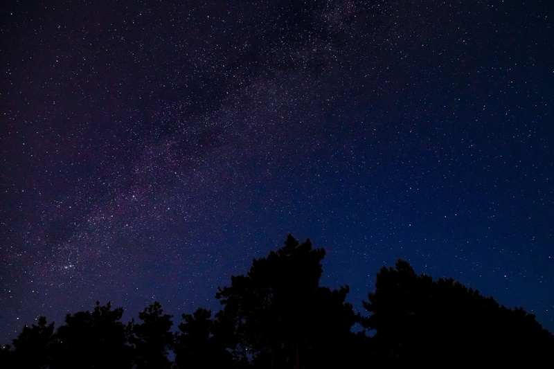 star, silhouette, astronomy, milkyway, scenics - nature, nature, beauty in nature, idyllic, low angle view, star - space, sky, space, tree, stars, no people