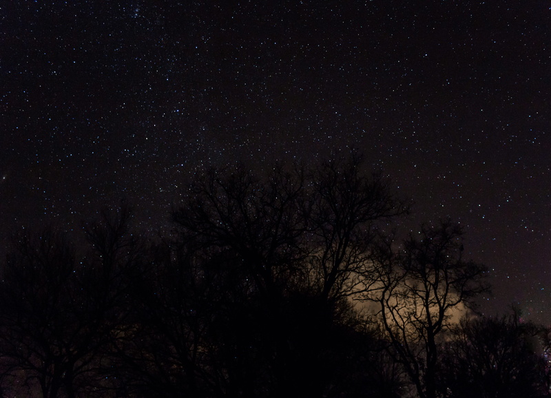 sky, no people, cloud, space and astronomy, beauty in nature, 4K, wildlife, night, canon, silhouette, wild, star, astronomy, tree, low angle view, world