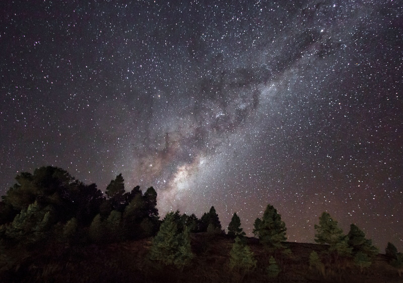 star, sky, white, nature, astronomy, space and astronomy, time, long exposure, tranquility, tree, trees, beauty in nature, space, night, galaxy, leaf, plant