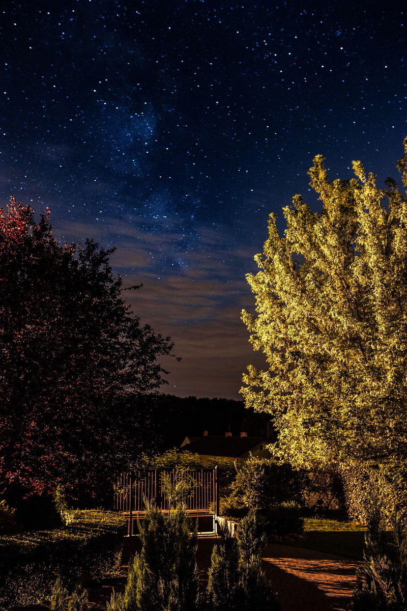 astronomy, star field, nighttime, no people, galaxy, plant, star - space, scenics - nature, beauty in nature, 5K, sky, architecture, built structure, star