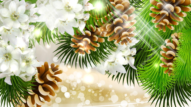 flower, seasons, 1080P, christmas, frangipani, spruce, firefox persona, nature, bright, plumeria, joyful, feliz navidad