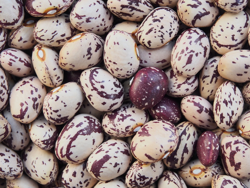 borlotti, abundance, beans, backgrounds, speckled, high angle view, cultures, 4K, celebration, nuts, pattern, no people, food and drink, full frame, large group of objects