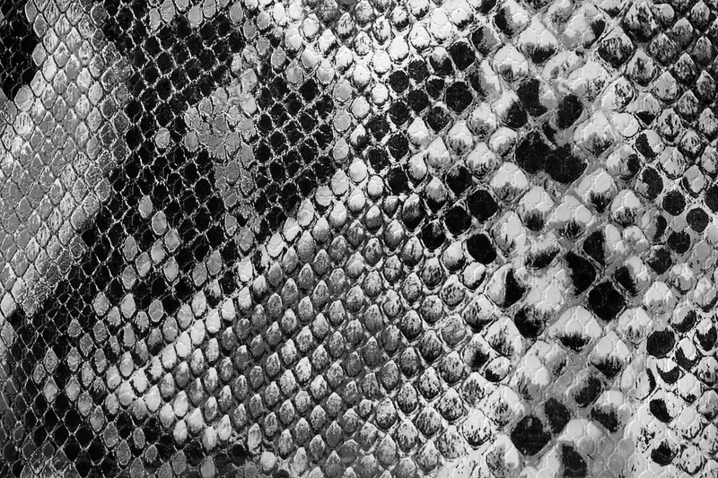 pattern, python, textured, luxury, day, detail, animal themes, no people, 4K, cotton, black, material, print, chainlink fence, backgrounds, fence, rough
