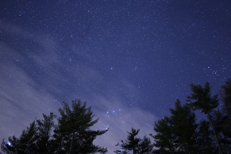astronomy, plant, big dipper, outdoors, speckled sky, galaxy, trees, stars, space and astronomy, nature, night, tranquility, star, silhouette, foliage