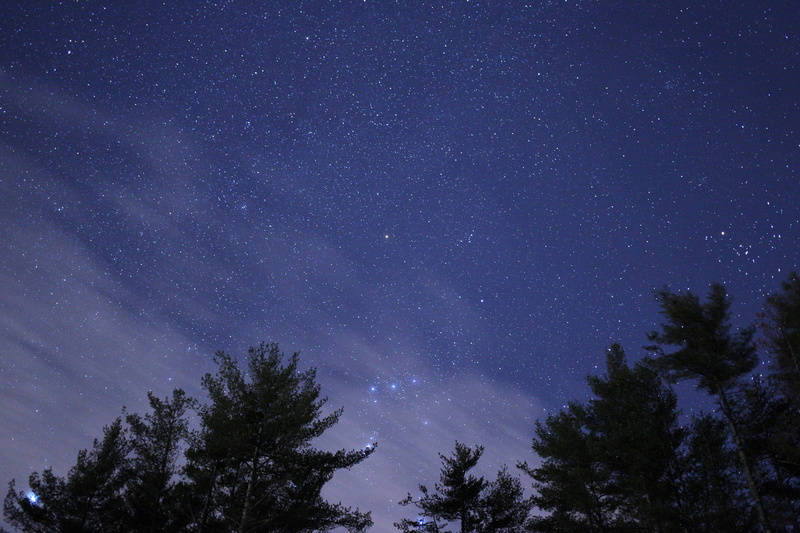 galaxy, low angle view, speckled sky, infinity, beauty in nature, landscape, nebula, astronomy, outdoors, star, scenics - nature, silhouette, tree canopy