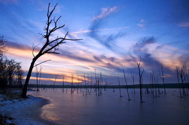 2K, sea, stream, Great  Works, bare, Lawrence  kansas, dusk, bare trees, trees, Dead  Trees, Call of the Wild, Old, sky, beds, Clinton Lake, sunset, cloudy