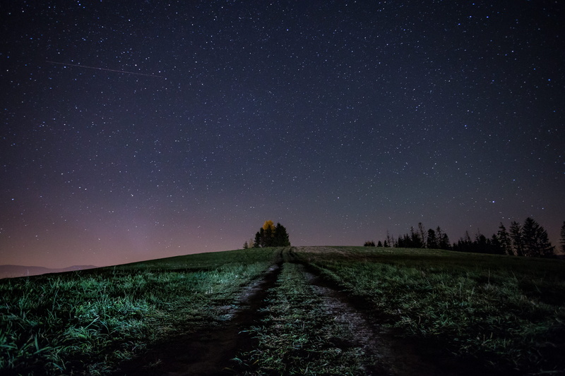 stars, space and astronomy, 5K, plant, space, sky, star field, rural, environment, astronomy, direction, galaxy, star, scenics - nature, countryside, beauty in nature