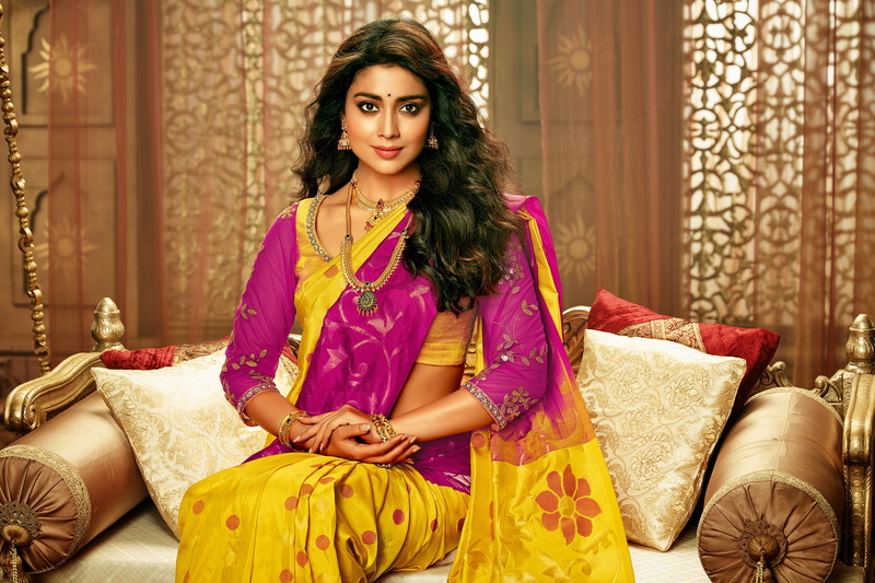 indian, shriya, brunette, face, cute, figure, celebrity, pretty, girl, lips, beautiful, hair, saran, pose, 2K, smile, eyes, beauty, actress, sexy, makeup