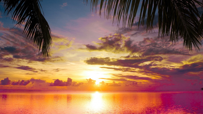 landscape, cloud, horizon, seascape, evening, sand, dusk, sea, golden, plant, idyllic, orange color, summer, sunrise, water, sunshine, silhouette, waves