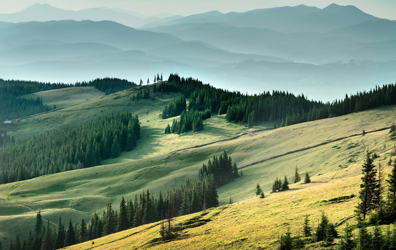 Field, forest, mountains, Carpathians, Ukraine, 2K