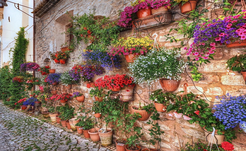 town, 1080P, beauty in nature, old-fashioned, petunia, wall - Building Feature, flowering plant, planters, nature, potted plant, retail display, cityscape