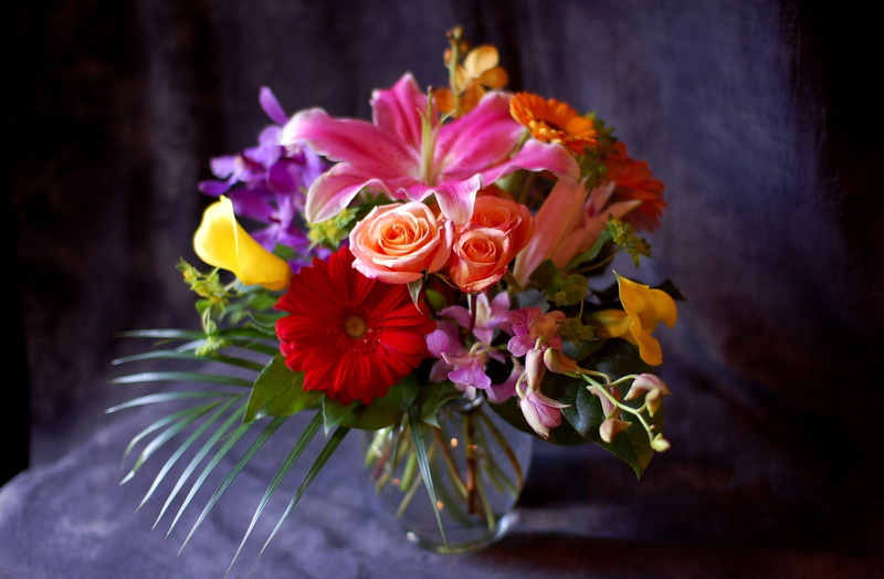 lily, freshness, color, purple, celebration, blossom, plant, petal, calla lilies, gift, flowers, indoors, leaf, gerbera, yellow, summer, flower arrangement