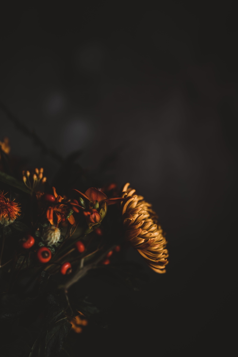 nature, petaled, bouquet, freshness, focus on foreground, dry, indoors, flowering plant, day, mum, fragility, dahlium, no people, autumn color, still life