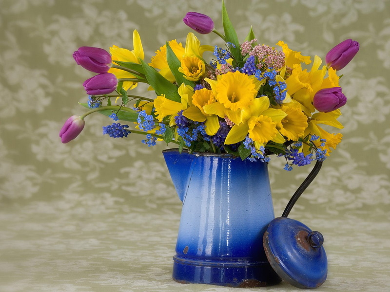 spring, flower, 720P, arrangement