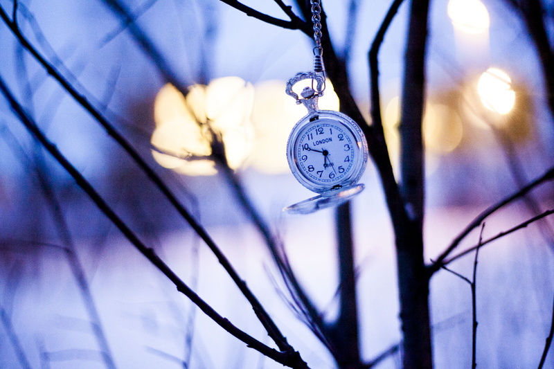 hanging, minute Hand, speed, number, watch, branches, day, time, stopwatch, 4K, silver, clock Face, backgrounds, timer, indoors, pocket Watch, countdown