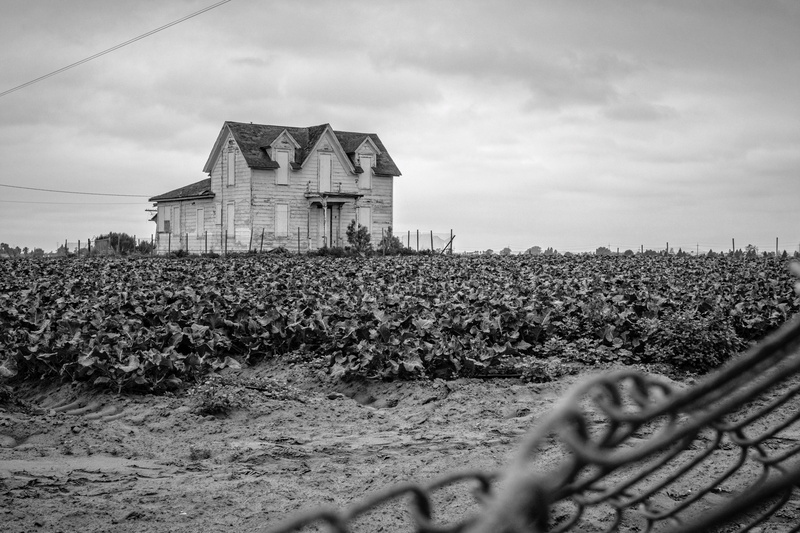 5K, farming, agriculture, landscape, architecture, built structure, field, santa maria, fence, old, farm, sky, outdoors, california, crops, plant, nature