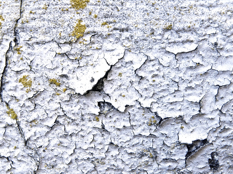 close-up, background, weathered, paint, grey, day, built structure, old paint, outdoors, peeling off, facade, full frame, structure, textured, concrete