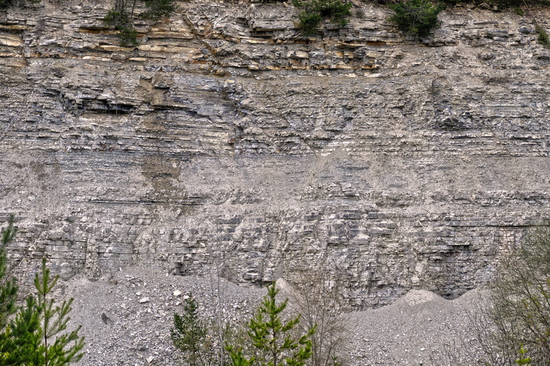 backgrounds, plant, nature, decay, tree, tranquility, full frame, abandoned, built structure, detail, limestone, spall, weathered, close-up, leave, day