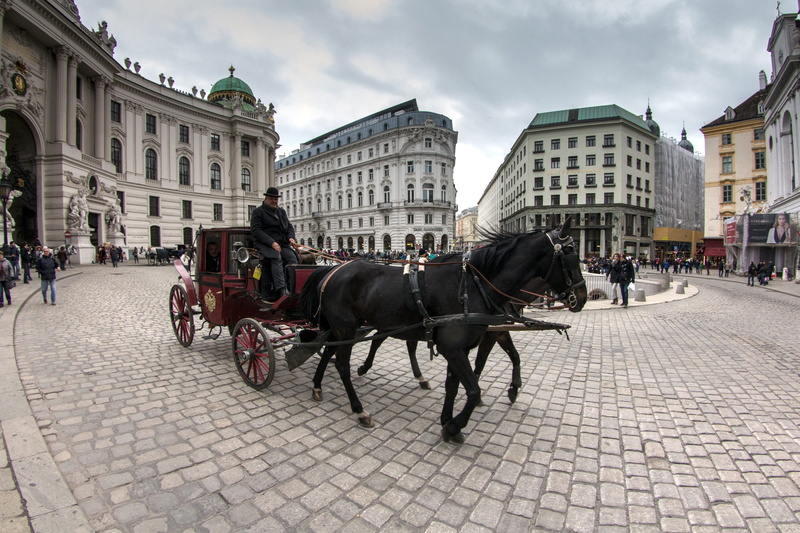 horsedrawn, animal, city, places of interest, cab, cart, cobblestone, animal wildlife, domestic animals, domestic, outdoors, pets, pedestrian zone, Old Town