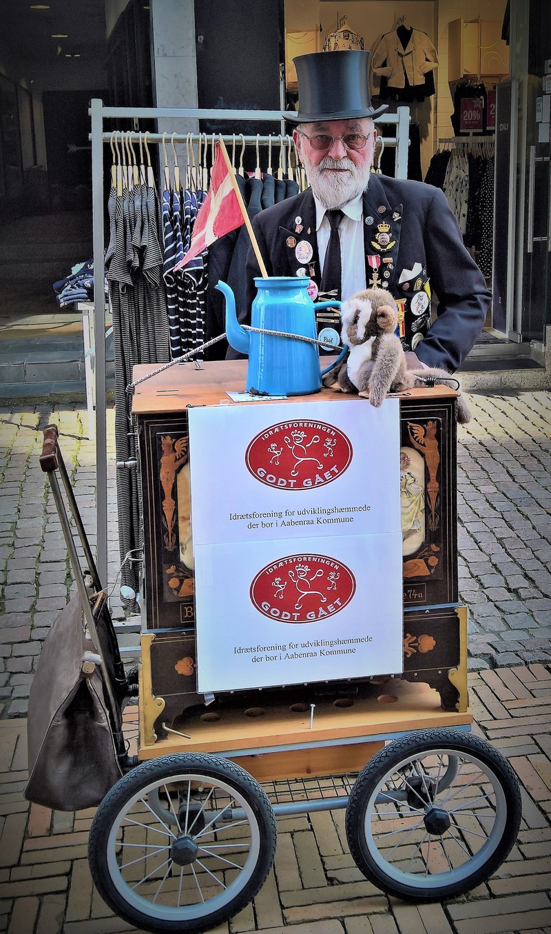 mammal, domestic animals, original, funny, day, pets, old barrel organ, communication, outdoors, dog, danish flag, canine, no people, bicycle, street, mode of transportation