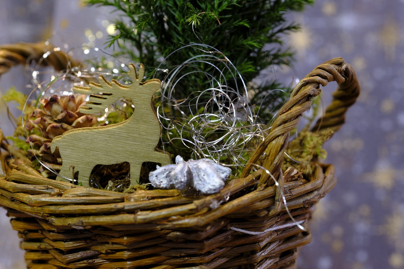 christmas, deco, advent, greeting card, plant, christmas card, wicker, reindeer, food and drink, holiday, background, postcard, decoration, 5K, food, christmas time