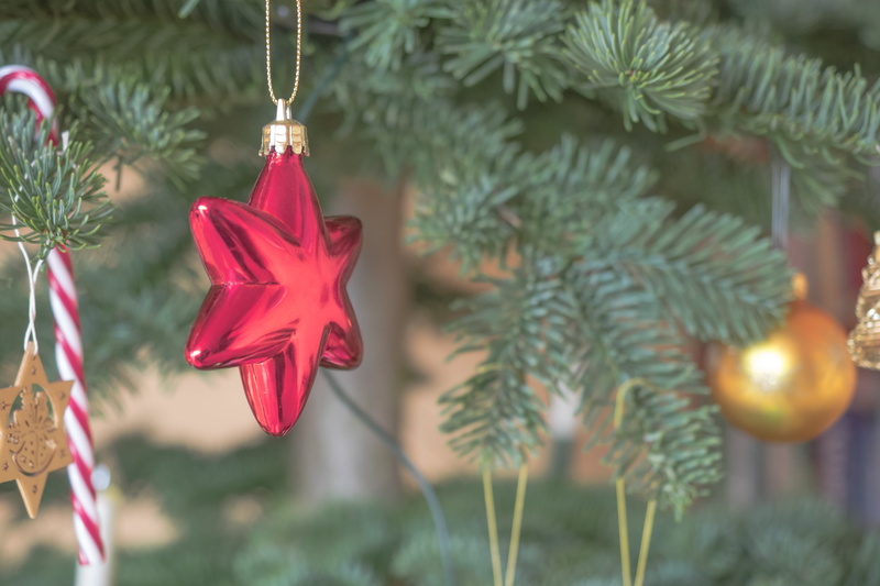 christmas eve, close-up, adventsstern, outdoors, selective focus, holiday, symbol, decoration, star, postcard, holiday - event, christmas, nature, christmas card